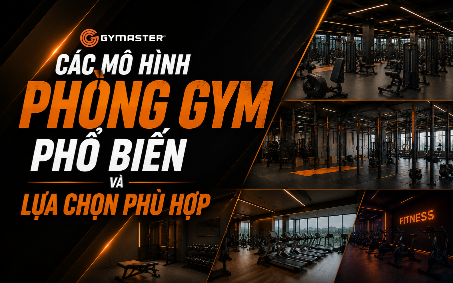 Setup Gym Cho Chủ Đầu Tư: Hướng Dẫn Toàn Diện Để Kinh Doanh Thành Công & Bền Vững 2