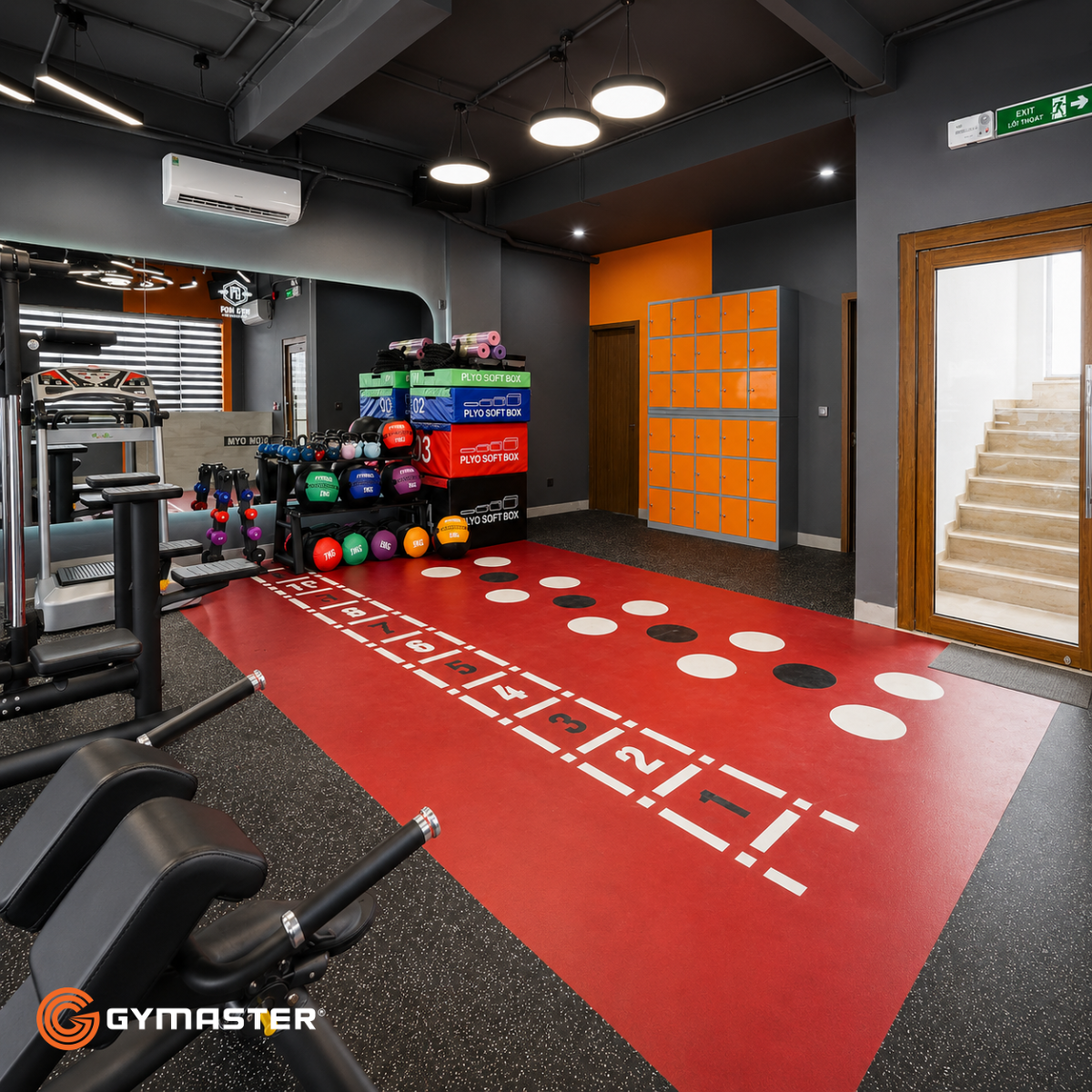 Setup Phòng Gym Trọn Gói: Hướng Dẫn Toàn Diện Từ A-Z Cho Chủ Đầu Tư 3 Setup Phòng Gym Trọn Gói: Hướng Dẫn Toàn Diện Từ A-Z Cho Chủ Đầu Tư 3